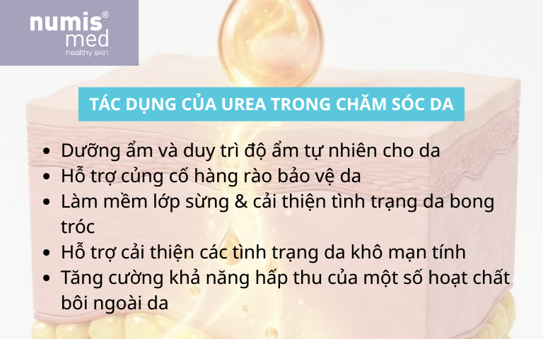 tac-dung-cua-urea-trong-cham-soc-da-