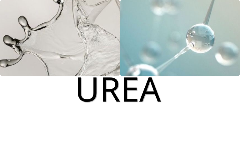 UREA là gì?